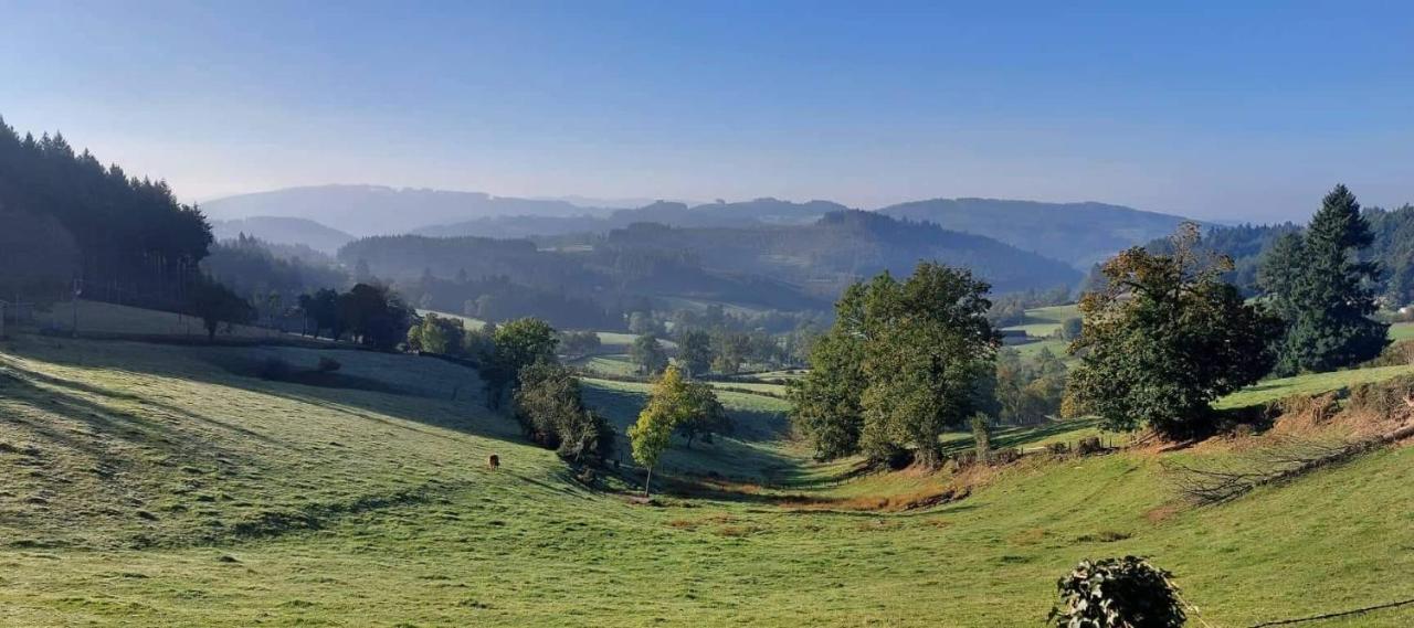 La Mazille , Cossy Vakantiestudio Met Zwembad In Zuid-Bourgogne Anglure-sous-Dun Kültér fotó