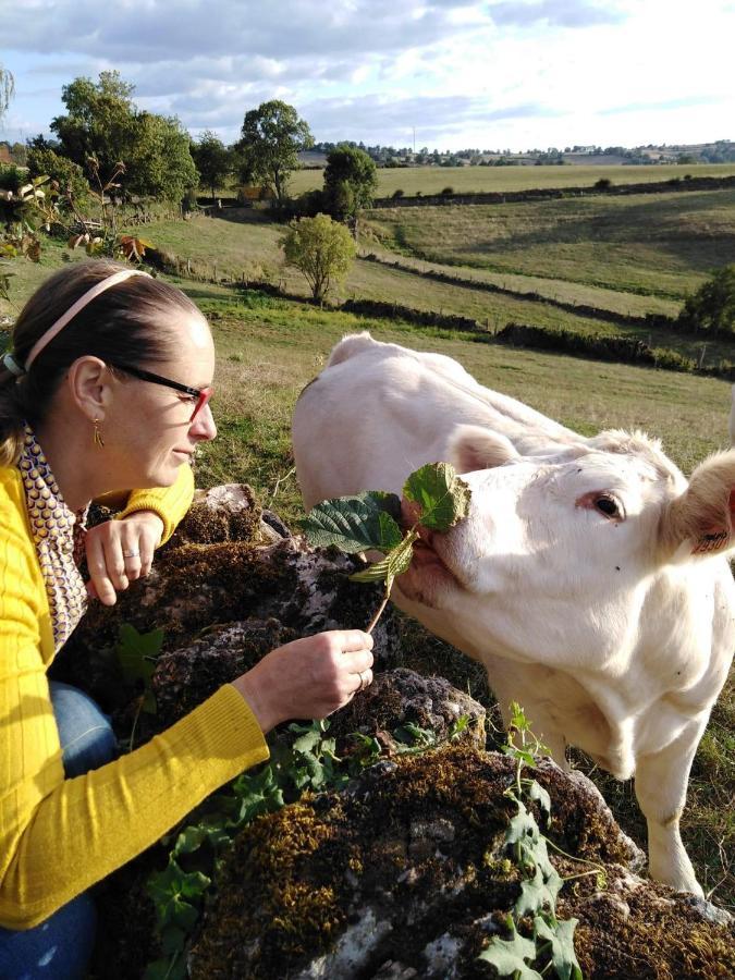 La Mazille , Cossy Vakantiestudio Met Zwembad In Zuid-Bourgogne Anglure-sous-Dun Kültér fotó