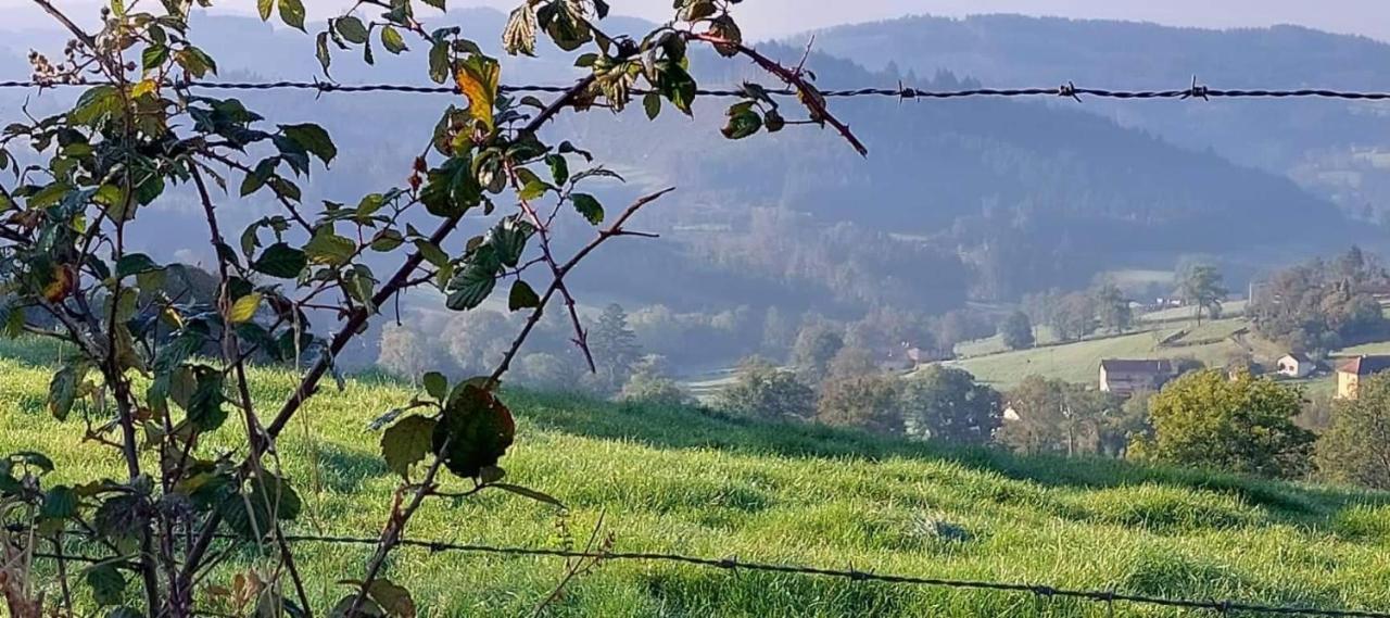 La Mazille , Cossy Vakantiestudio Met Zwembad In Zuid-Bourgogne Anglure-sous-Dun Kültér fotó